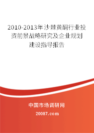 2010-2013年沙棘黄酮行业投资前景战略研究及企业规划建设指导报告