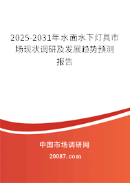 2025-2031年水面水下灯具市场现状调研及发展趋势预测报告