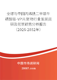 全球与中国丙烯酰二甲基牛磺酸铵-VP共聚物行业发展调研及前景趋势分析报告（2026-2032年）