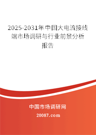 2025-2031年中国大电流接线端市场调研与行业前景分析报告