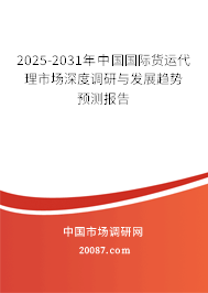 2025-2031年中国国际货运代理市场深度调研与发展趋势预测报告 2025-2031年中国国际货运代理市场深度调研与发展趋势预测报告