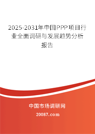 2025-2031年中国PPP项目行业全面调研与发展趋势分析报告