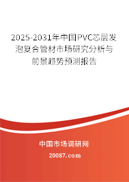 2025-2031年中国PVC芯层发泡复合管材市场研究分析与前景趋势预测报告