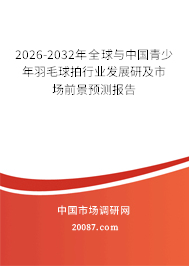 2026-2032年全球与中国青少年羽毛球拍行业发展研及市场前景预测报告