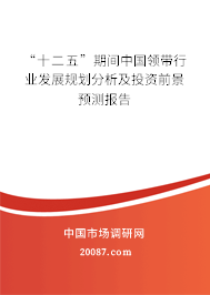 “十二五”期间中国领带行业发展规划分析及投资前景预测报告 “十二五”期间中国领带行业发展规划分析及投资前景预测报告