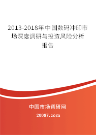 2013-2018年中国数码冲印市场深度调研与投资风险分析报告