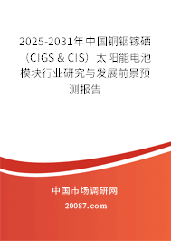 2025-2031年中国铜铟镓硒（CIGS & CIS）太阳能电池模块行业研究与发展前景预测报告