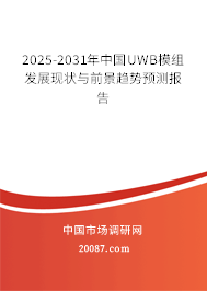 2025-2031年中国UWB模组发展现状与前景趋势预测报告 2025-2031年中国UWB模组发展现状与前景趋势预测报告