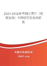 2025-2031年中国小苏打(碳酸氢钠)市场研究及发展趋势 2025-2031年中国小苏打(碳酸氢钠)市场研究及发展趋势
