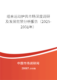 组合运动护具市场深度调研及发展前景分析报告（2025-2031年）
