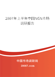 2007年上半年中国NGN市场调研报告