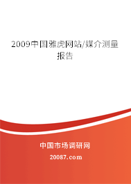 2009中国雅虎网站/媒介测量报告