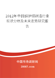 2012年中国保护膜制造行业现状分析及未来走势研究报告