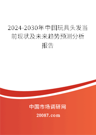 2024-2030年中国玩具头发当前现状及未来趋势预测分析报告