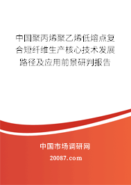 中国聚丙烯聚乙烯低熔点复合短纤维生产核心技术发展路径及应用前景研判报告