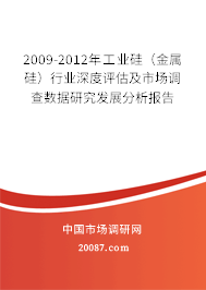 2009-2012年工业硅（金属硅）行业深度评估及市场调查数据研究发展分析报告