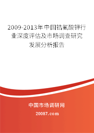 2009-2013年中国锆氟酸钾行业深度评估及市场调查研究发展分析报告