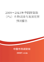 2009－2013年中国聚氨酯（PU）市场调查与发展前景预测报告