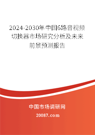 2024-2030年中国6路音视频切换器市场研究分析及未来前景预测报告