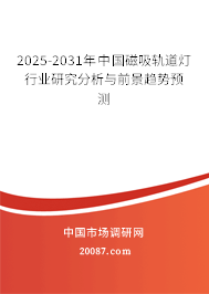2025-2031年中国磁吸轨道灯行业研究分析与前景趋势预测