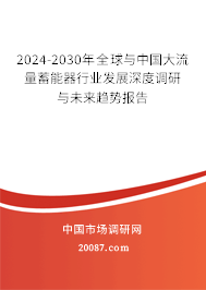 2024-2030年全球与中国大流量蓄能器行业发展深度调研与未来趋势报告