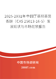 2025-2031年中国丁基羟基茴香醚（CAS 25013-16-5）发展现状与市场前景报告