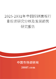 2025-2031年中国控制面板行业现状研究分析及发展趋势研究报告