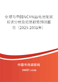 全球与中国NCM811电池发展现状分析及前景趋势预测报告（2025-2031年）