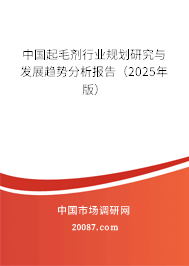 中国起毛剂行业规划研究与发展趋势分析报告（2025年版）