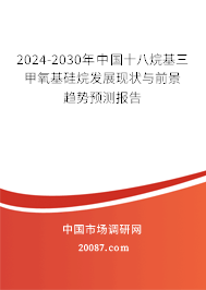 2024-2030年中国十八烷基三甲氧基硅烷发展现状与前景趋势预测报告