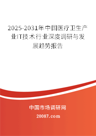 2025-2031年中国医疗卫生产业IT技术行业深度调研与发展趋势报告