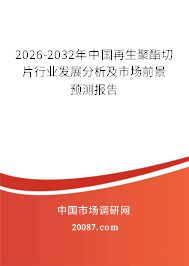 2026-2032年中国再生聚酯切片行业发展分析及市场前景预测报告 2026-2032年中国再生聚酯切片行业发展分析及市场前景预测报告