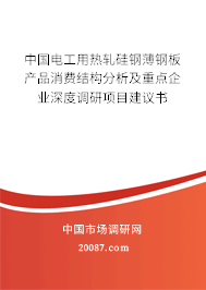 中国电工用热轧硅钢薄钢板产品消费结构分析及重点企业深度调研项目建议书