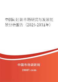 中国ic封装市场研究与发展前景分析报告（2025-2031年）