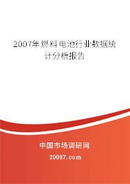 2007年燃料电池行业数据统计分析报告