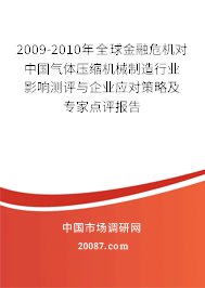 2009-2010年全球金融危机对中国气体压缩机械制造行业影响测评与企业应对策略及专家点评报告