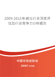 2009-2013年磁灶行业深度评估及行业竞争力分析报告 2009-2013年磁灶行业深度评估及行业竞争力分析报告