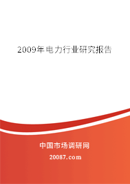 2009年电力行业研究报告 2009年电力行业研究报告
