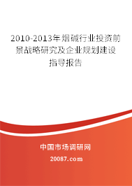 2010-2013年烟碱行业投资前景战略研究及企业规划建设指导报告