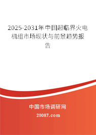 2025-2031年中国超临界火电机组市场现状与前景趋势报告