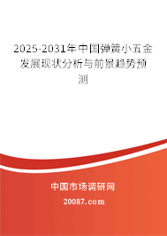 2025-2031年中国弹簧小五金发展现状分析与前景趋势预测 2025-2031年中国弹簧小五金发展现状分析与前景趋势预测