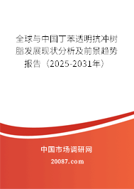 全球与中国丁苯透明抗冲树脂发展现状分析及前景趋势报告（2025-2031年）