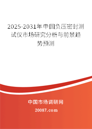 2025-2031年中国负压密封测试仪市场研究分析与前景趋势预测