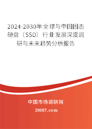 2024-2030年全球与中国固态硬盘（SSD）行业发展深度调研与未来趋势分析报告