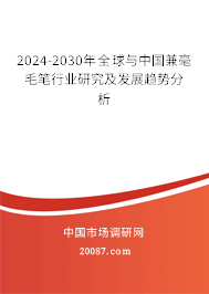2024-2030年全球与中国兼毫毛笔行业研究及发展趋势分析