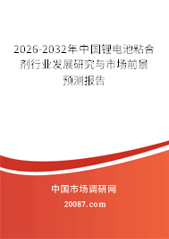 2026-2032年中国锂电池粘合剂行业发展研究与市场前景预测报告