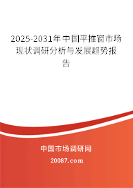 2025-2031年中国平推窗市场现状调研分析与发展趋势报告