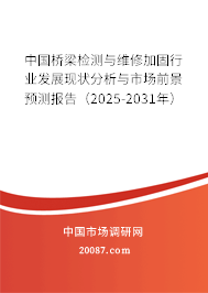 中国桥梁检测与维修加固行业发展现状分析与市场前景预测报告（2025-2031年）