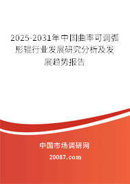 2025-2031年中国曲率可调弧形辊行业发展研究分析及发展趋势报告