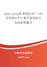 2025-2031年中国热电厂污水专用脱水剂行业深度调研与发展趋势报告